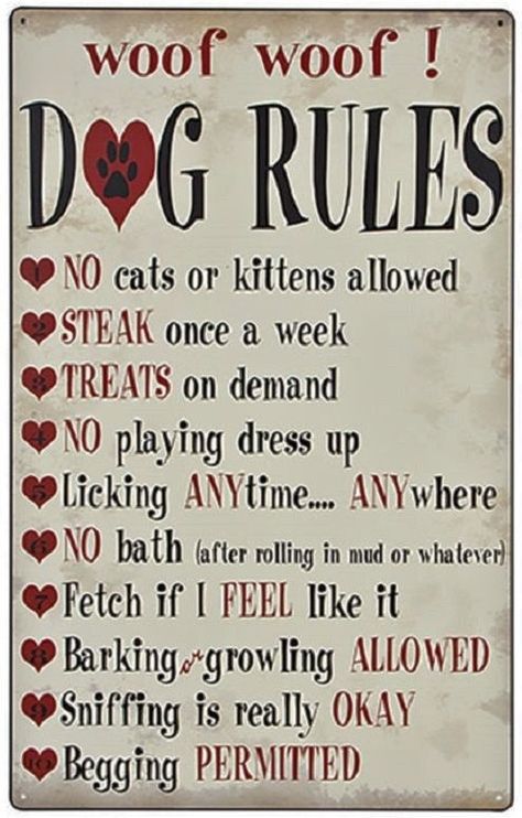 Home Bar Wall Decor, Home Bar Wall, Dog Lover Quotes, Tin Metal, Bar Wall Decor, Dog Rules, Wall Bar, Pet Lover, Dog Quotes