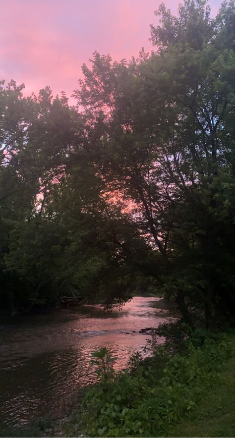 Nature, Bonito, Calm Core Aesthetic, Sunset River Aesthetic, River Core Aesthetic, Sunset In The Forest Aesthetic, Calm River Aesthetic, Water Core Aesthetics, River In Forest Aesthetic