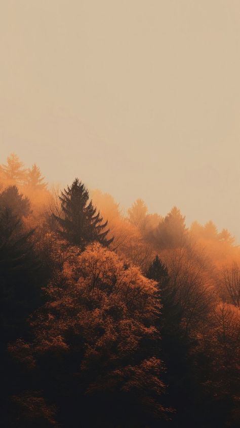 Autumn Forest Wallpaper Iphone, Background Fall Autumn, Burnt Orange Aesthetic Fall, Fall Landscape Aesthetic, Forest In Autumn, Forest Sunset Aesthetic, November Lockscreen Iphone, Cozy Forest Aesthetic, Aesthetic Forest Pictures