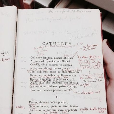 Writing In The Margins Aesthetic, Writing In Books Margins, How To Write In The Margins, Michelle Jones Aesthetic, Writing In The Margins, Bnha Aesthetic, Michelle Jones, Chaotic Academia, Donna Tartt