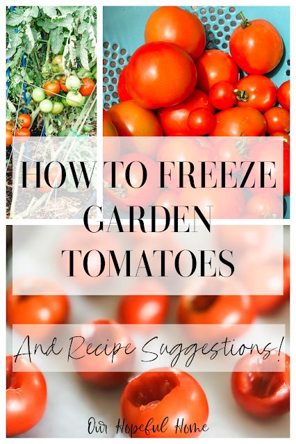 How To Freeze Garden Tomatoes Plus Frozen Tomato Recipe Ideas What To Do With Frozen Whole Tomatoes, How To Freeze Fresh Tomatoes, Freezing Tomatoes Easy, Freeze Green Tomatoes, Roma Tomato Recipes, Edible Greens, How To Freeze Tomatoes, Garden Salads, Homemade Tomato Paste