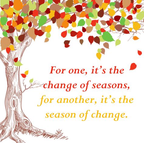 For one, it's the change of seasons, for another, it's the season of change. Creation Quotes, Season Of Change, Season Quotes, Change Of Seasons, Artwork Ideas, Aging In Place, Womens Ministry, Quotes For Kids, The Change