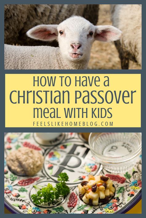 Easter Food Healthy, Passover Activities, Passover Feast, Passion Week, Passover Meal, Passover Dinner, Passover Crafts, Biblical Feasts, Seder Meal