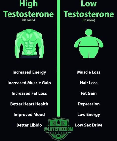 Testosterone Boosting Foods, Gym Workout Guide, High Testosterone, Boost Testosterone, Increase Testosterone, Books For Self Improvement, Testosterone Levels, Health Knowledge, Good Health Tips