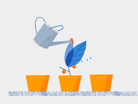 Plant Motion Graphic, Plant Growing Animation, Plant Animation, Seed Illustration, Vector Animation, Watering Plants, Plants Growing, Motion Graphics Inspiration, Motion Graphics Design