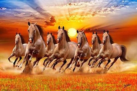 anandraj prajapati2017 7 Horses Running Painting Vastu, Running Horses Wallpaper, Vastu Wallpaper, 7 Horses Running Painting Vastu Wallpaper, Running Painting, 7 Horses, Ravivarma Paintings, Horses Wallpaper, Horses Running