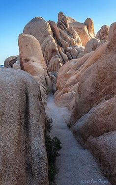 Perfect Photography, Interesting Place, Slot Canyon, Joshua Tree National Park, Florida Keys, Land Art, California Travel, Joshua Tree, Palm Springs