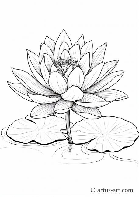 How To Draw Lotus Flower, Lily Pad Drawing, Water Lily Drawing, Lotus Outline, Darkside Tattoo, Water Lily Tattoos, Lotus Drawing, Lilies Drawing, Flower Pattern Drawing