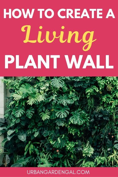 Living Plant Wall, Vertical Plant Wall, Gardens Decor, Living Wall Diy, Plant Wall Diy, Green Wall Garden, Living Wall Garden, Living Wall Indoor, Vertical Green Wall