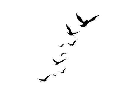 the flying birds illustration isolated on a white background. a flock of flying animals in a simple design for a decorative element and tattoo. Flying Birds Tattoo Design, Knee Tattoo Men Design, Upper Knee Tattoo Men, Tattoo Birds Flying, Flock Of Birds Tattoo, Flying Birds Tattoo, Simple Bird Tattoo, Flying Animals, Bird Tattoo Men