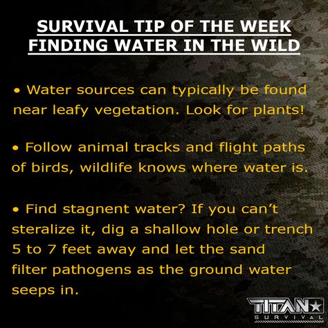 Survival Tip of the Week: Finding Water in the Wild! Here are some quick tips and tricks to fit your survival needs. We hope everyone is having a great weekend! #titansurvival #titan #survival #outdoors #survivalgear #camping #hiking #preparedness #bushcraft #shtf #howtosurvive #instagood #explore #survivaltip #survivaltips #howto #tipoftheweek #weeklytips #survivaltips #vegetation #waterinthewild #water Wild Waters, Surviving In The Wild, Animal Tracks, Water Sources, Survival Tips, Camping Hiking, In The Wild, Survival Gear, Survival Skills