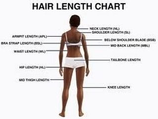 Hair length chart  Visit gohairlosstreatment.com  #hairloss #hairlosssolution #hairlosstreatment #hairlosshelp #hairlossprevention #hairlossproblem #hairlossremedy #hairlosscoverup #hairlosscontrol #hairlossawareness #hairlossjourney #hairlosswomen #hairlossadvice #hairlosscure Hair Length Guide, Quotes Rainbow, Hair Chart, Natural Hair Rules, Waist Length Hair, Hair Length Chart, Simple Prom Hair, Hair Growth Cycle, Haircut Types