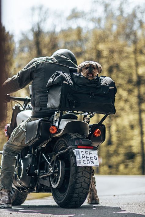 Dog Bike Carrier, Motorcycle Carrier, Biking With Dog, Pets At Home, Dog Carrier Bag, Motorcycle Camping, Motorcycle Travel, Pet Bag, Dog Bag