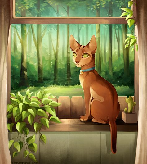 Into the Wild by MapleSpyder on DeviantArt Warrior Cats Series, Warrior Cats Books, Warrior Drawing, Warrior Cats Fan Art, Warrior Cat Drawings, Love Warriors, Warrior Cats Art, Mini Comic, Cat Books