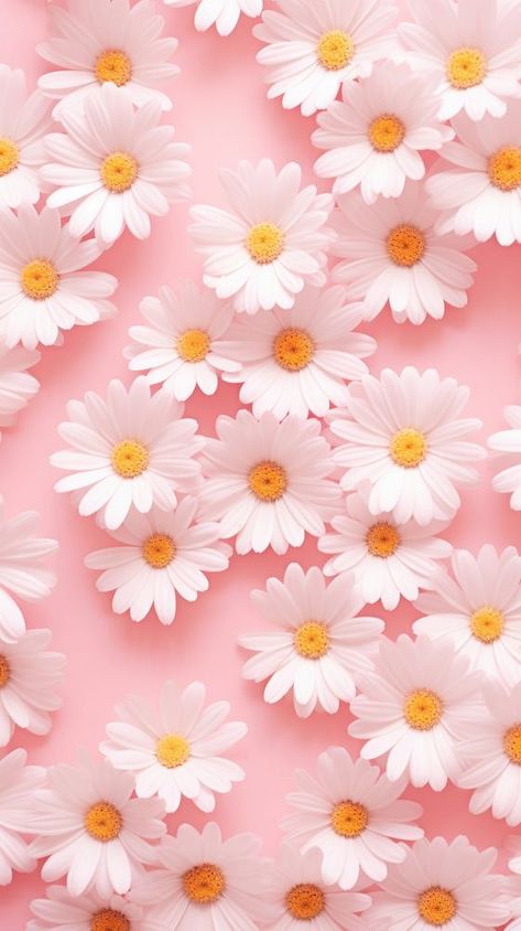 Iphone Wallpaper Cute | Free Aesthetic HD & 4K Mobile Phone Images - rawpixel Margaritas, Shiny Wallpaper, Iphone Wallpaper Pink, Phone Images, Daisy Background, Cute Images For Wallpaper, Pink Flowers Wallpaper, Pink Wallpaper Backgrounds, Daisy Wallpaper