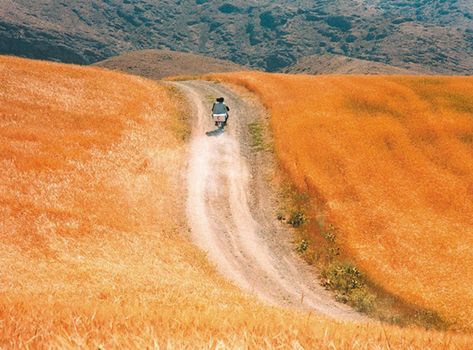 The Wind Will Carry Us, Taste Of Cherry, Abbas Kiarostami, Iranian Film, Movie Directors, Film Archive, Ambient Music, History Of Photography, Samar