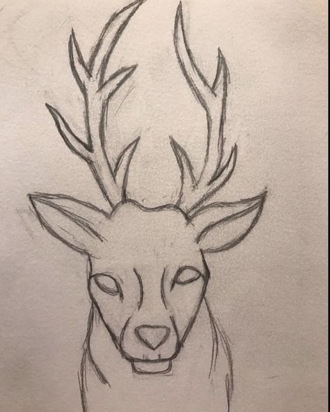 Deer Drawing Easy, Deer Sketch, Kawaii Cat Drawing, Deer Drawing, Pencil Drawings For Beginners, Animal Drawings Sketches, Dog Sketch, Disney Art Drawings, Cool Pencil Drawings