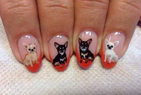 20 Alluring Nail Designs for Chihuahua Owners | Page 2 of 5 | The Dogman Chihuahua Nails, Chihuahua Nail Art, Dog Nail Art, Animal Nail Designs, Cat Nail Art, Nail Lab, Finger Nail Art, Nail Pictures, Animal Nails