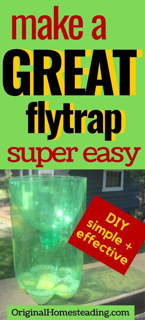 Learn how to make the best DIY Flytrap ever. Simple instructions with recipe for non-toxic bait without vinegar. This outdoor fly trap works in barns, on patios and deck as well as porches and in backyards. Make the inexpensive easy flytrap today! #Pests #FlyTrap #HomemadeFlytrap #OriginalHomesteading Dyi Fly Trap, Home Made Fly Trap, Fly Repellant Diy, Flies Trap Diy, Homemade Fly Traps, Diy Fly Trap, Homestead Diy, Fly Infestation, Fly Bait