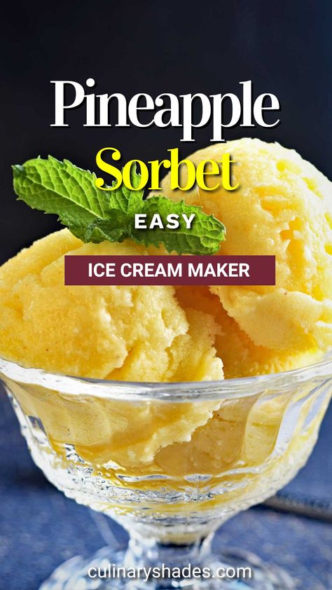 Pineapple Sorbet - Culinary Shades Pineapple Sorbet Recipe Ice Cream Maker, Pineapple Topping For Ice Cream, Sorbet Recipes Easy Healthy, Pineapple Sherbert Recipe, Home Made Sorbet Recipes, Sorbet Recipes For Ice Cream Maker, Homemade Sorbet Recipe, Melon Ice Cream Recipes, Diy Sorbet