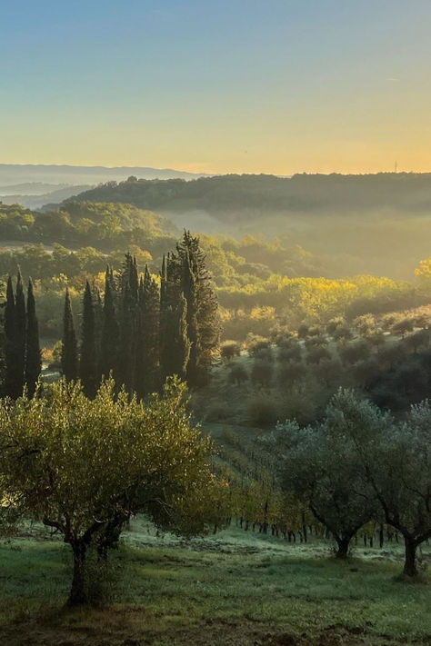 Experience the breathtaking beauty of Tuscany's landscapes with our exclusive villa rentals. From rolling vineyards to historic olive groves, our handpicked villas offer unrivalled views of the Tuscan countryside.

#to_tuscany #tuscany #villa #views #italiancountryside #olivegroves #vineyards #traveldestination Nature, Italian Villa Landscape, Italy Moodboard, Greek Countryside, Tuscany Aesthetic, Romantic Villa, Tuscany Food, Italian Farm, Tuscan Interior