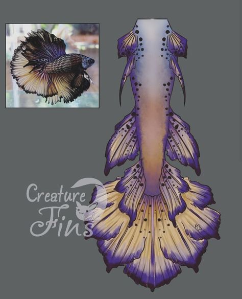 Mermaid Tail Art, Mermaid Tail Drawing, Blue Mermaid Tail, Realistic Mermaid Tails, Realistic Mermaid, Tail Mermaid, Fish Types, Mermaid Cosplay, Mermaid Fin