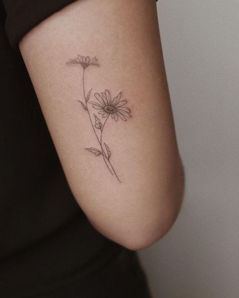 Gerber Flower Tattoo, Daphodil And Daisy Tattoo, Daisy And Aster Flower Tattoo, Daisy Stem Tattoo, Botanical Daisy Tattoo, Flower Tattoos Daisies, Fine Line Gerbera Daisy Tattoo, Letter With Flowers Tattoo, Dasie Flower Tattoo