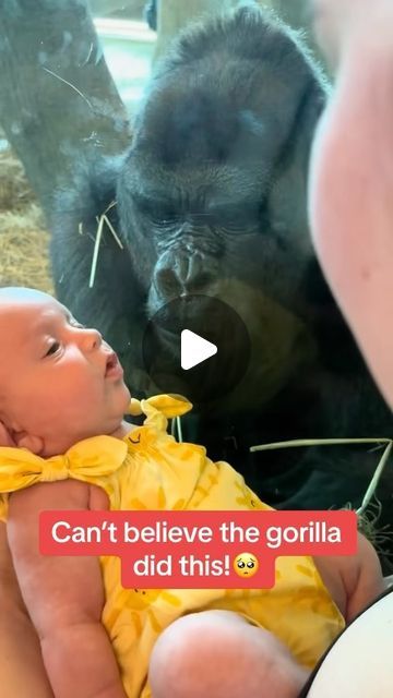 Cute Hugs, Columbus Zoo, Wildlife Protection, Nothing But Love, Top Tv, Funny Pix, Affirmations For Kids, Wildlife Photos, Cute Funny Dogs