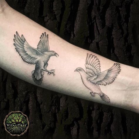 When dark meets light in the form of birds, the delicate dance of yin and yang stays eternally on this forearm as described by these words. Simple and beautiful #realistictattoo design by @jershtattoos_ from West Hollywood, California.⠀ ⠀ #birdtattoo #birdstattoo #birdtattoos ⠀ #blackworkers #blackink #forearmtattoo #bngtattoo #blackandgreytattoos #blackink #greywash #blackworkers #dotworktattoo #birdart #armtattoo #spiritanimal⠀ ⠀ #DontFlipOutFlipTheLid ➕ #SalveItBeforeYouStabIt 🌿 #VitaliTreeT Crow Tattoo Meaning, Dove Tattoo Meaning, Rabe Tattoo, Olive Branch Tattoo, Dove Tattoo Design, Dove Tattoos, Flying Tattoo, Dove Tattoo, Branch Tattoo