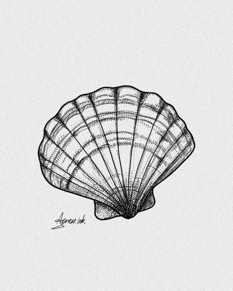 Small tattoo sketch,  shell Sea Shell Tattoo Design, Sea Shells Tattoo Ideas, Scallop Shell Tattoo, Clam Shell Tattoo, Granny Tattoo, Shared Tattoos, Shells Tattoo, Clam Tattoo, Sea Shell Drawing