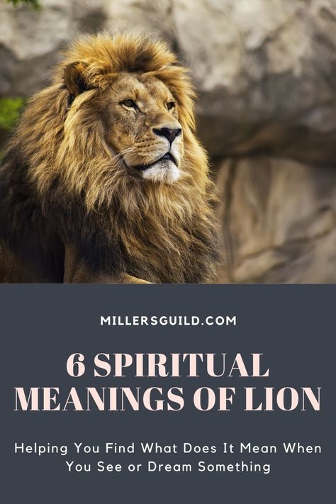 6 Spiritual Meanings of Lion 2 Animals Symbolism, Lion Meaning, Lion Symbolism, Lion Spirit Animal, Lion With Wings, Lion Tattoo Meaning, Spirit Animal Meaning, Asiatic Lion, Royal Animals