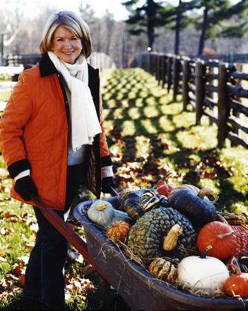 Martha Stewart: Pumpkins, squashes great for eating - Deseret News Martha Stewart Fall, Martha Stewart Thanksgiving, Pumpkin Stew, Martha Stewart Christmas, Martha Stewart Halloween, Pumpkin Squash, Fall Vegetables, Martha Stewart Living, Christmas Mood