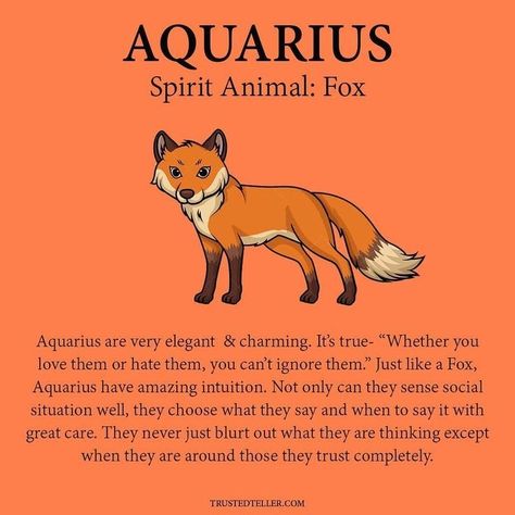 Aquarius Spirit Animal, Aquarius Animal, Aquarius Personality, Aquarius Aesthetic, Aquarius Art, Aquarius Traits, Aquarius Life, Aquarius Truths, Aquarius Love