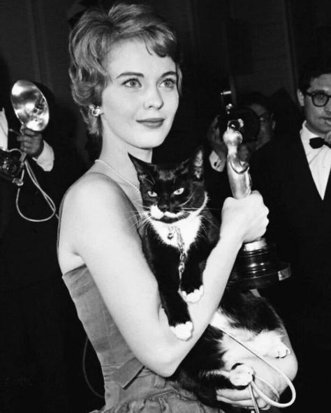 A Muse Of French Cinema, American Actress Jean Seberg Made Sure To Bring Her Cat To An Award Ceremony. The Photo Was Taken By Italian Photographer Gino Begotti In The 1960s In The Municipality Of Cortina D'ampezzo, Italy Black, Jean Seberg, White Photo, A Cat, A Black, A Woman, Black And White, White