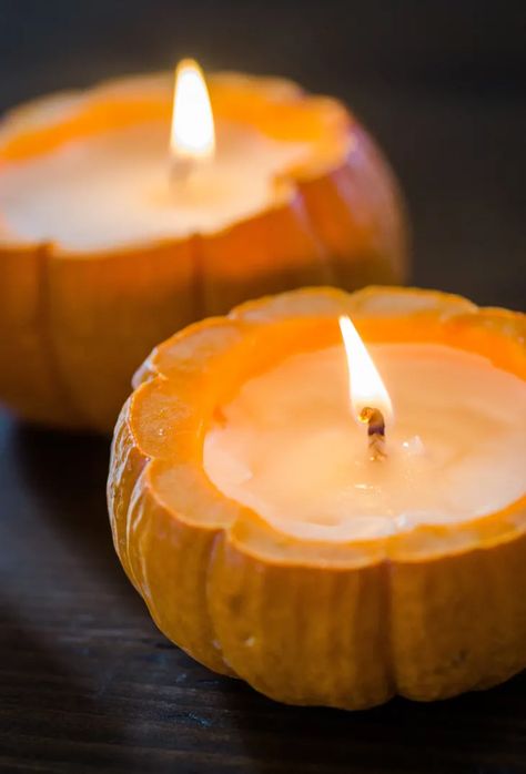 How To Make a Candle Out of a Pumpkin | Kitchn Diy Pumpkin Candle, Make A Candle, Pumpkin Tea Lights, Pumpkin Candle Holder, Make Candles, Chic Candles, Pumpkin Projects, Diy Candle Holders, Pumpkin Candles