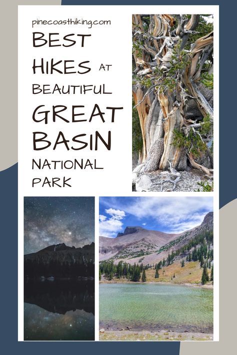 best hikes at great basin, great basin national park hiking, best trails at great basin national park, best trails at great basin, hiking at great basin, best trails in nevada, best hikes in nevada, Teresa Lake Trail great basin, Stella Lake Trail great basin, Wheeler Peak Trail great basin national park, Bristlecone Pine Glacier Trail great basin Bristlecone Pine Tree, Bristlecone Pine, Great Basin National Park, Ancient Trees, Great Basin, Alpine Meadow, Ancient Tree, Alpine Lake, Sky View