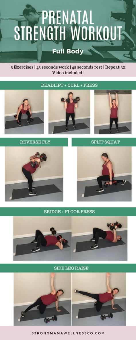 Prenatal Dumbell Workout, Prenatal Strength Training, Prenatal Strength Workout, Pregnancy Strength Training, Pregnancy Weight Lifting Workout, Pregnancy Workout At Home 2nd Trimester, Full Body Pregnancy Workout, Prenatal Workout Plan, Prenatal Exercises