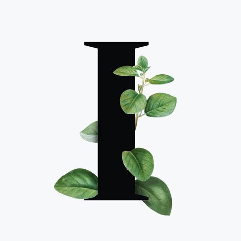 Botanical capital letter I font design | free image by rawpixel.com / Aum I Wallpaper Letter Iphone, Botanical Capital Letter, Leaf Font, Letter Photography, Alphabet Letters Design, Free Illustration Images, Alphabet Wallpaper, Feed Ig, Lettering Alphabet Fonts