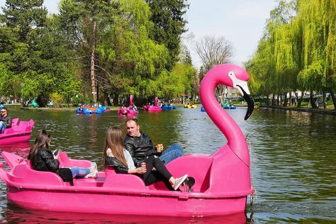 Pedal Boats: Why Paddle Boating Is a Fun Way to Exercise With Kids! #30secondmom Paddle Boats, Pedal Boats, Pedal Boat, Land Development, Fancy Flamingo, Park Ideas, Lake Dock, Kayak Boats, Paddle Boat