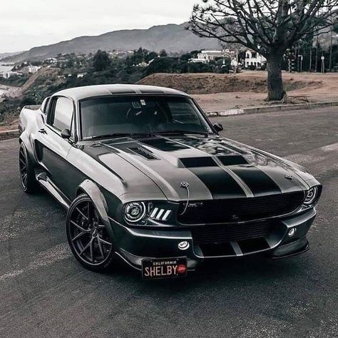 Anasayfa / Twitter | Mustang shelby, Muscle cars mustang, Shelby mustang gt500 Shelby Mustang Gt500, Mobil Mustang, Shelby Gt 500, Muscle Cars Mustang, مرسيدس بنز, Мотоциклы Cafe Racers, Mustang Gt500, Shelby Mustang, Ford Mustang Shelby Gt500