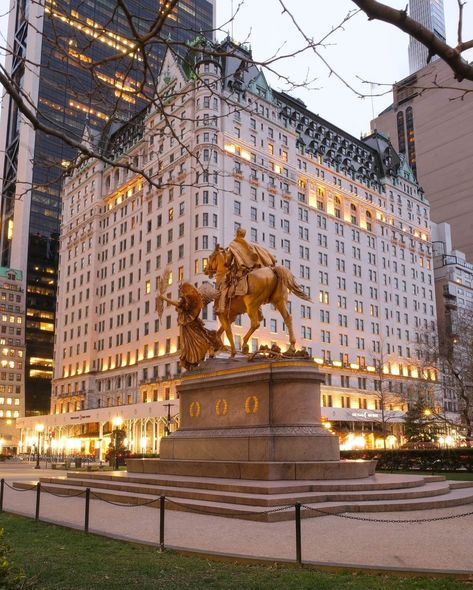 The Plaza New York, Plaza Hotel New York, The Plaza Hotel Nyc, New York City Christmas, New York Minute, Public Space Design, Nyc Hotels, New York Homes, Plaza Hotel