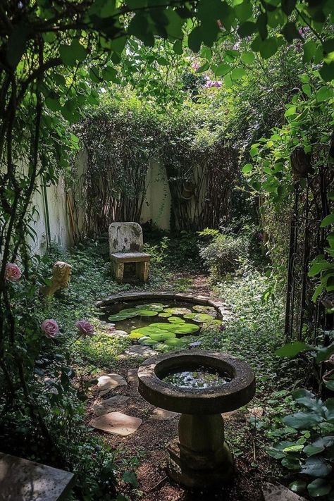 Romantic Garden Aesthetic, Rustic Screened In Porch, Small Secret Garden Ideas, The Secret Garden Aesthetic, Forest Garden Ideas, Simple Screened In Porch, Screened In Front Porch Ideas, Dense Garden, Screened In Front Porch