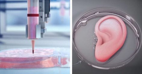 The Science Fiction World of 3D Printed Organs | IE Trip Wire Alarm, Trip Wire, 3d Printed Heart, Tissue Engineering, Fiction Idea, 3d Printing Projects, Regenerative Medicine, Medical Device, Printing Companies