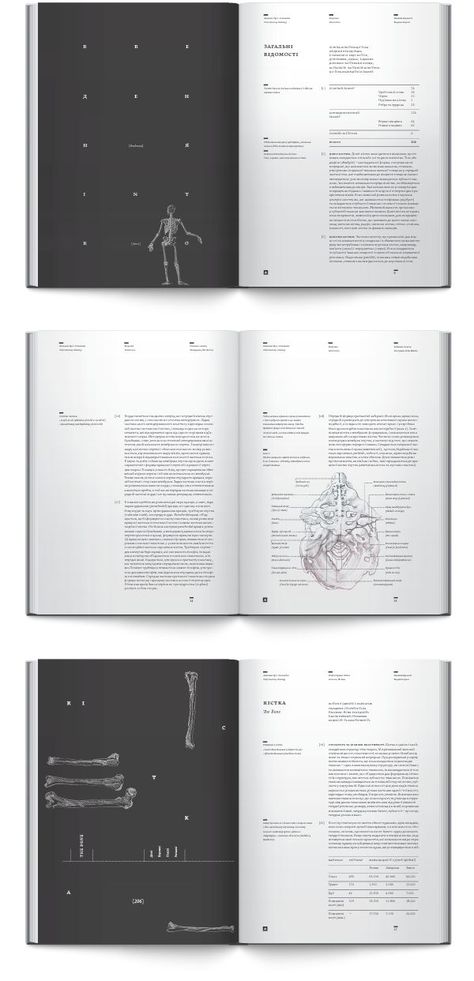 Anatomy book. Osteology by Irene Shkarovska, via Behance Layout Editoriale, Editorial Design Layouts, Anatomy Book, Mises En Page Design Graphique, Publishing Design, Behance Design, Buch Design, Editorial Design Layout, Book Editorial