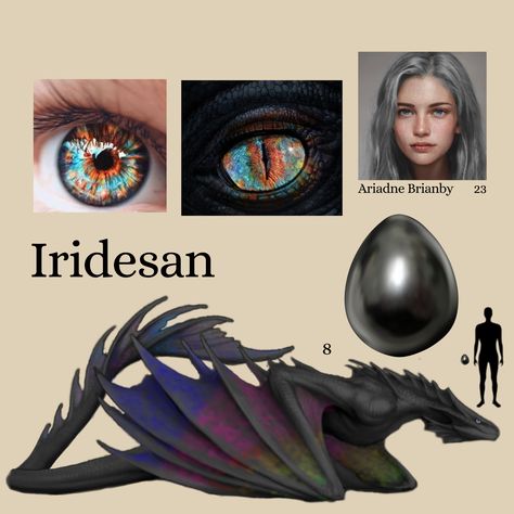 Dragon Claim For Dr, Wyrvens Dragon, Targaryen Dragons Oc, House Of The Dragon Dragons Oc, House Of The Dragon Oc Dragons, Dragon Body Types, Got Dragon Oc, Wyvern Oc, House Of The Dragon Oc