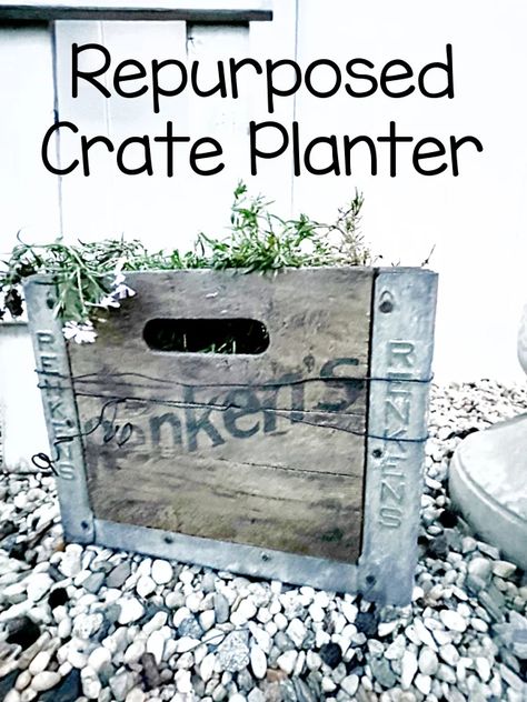 Wood Crate Decor, Cottage Flower Garden, Crate Decor, Diy Wooden Crate, Vintage Wooden Crates, Vintage Milk Bottles, Funky Junk, Wood Crates, Milk Bottle