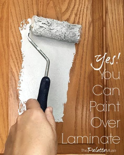 Paint Laminate Cabinets, Painting Laminate Cabinets, How To Paint Laminate, Diy Kitchen Cabinets Painting, Painting Laminate Furniture, Painting Laminate, Laminate Furniture, Laminate Cabinets, Diy Camper Remodel