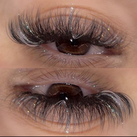 Bee Accessories, Glitter Lashes, Best Lash Extensions, Lashes Fake Eyelashes, Eyelash Tips, Sting Like A Bee, Lash Extensions Styles, Eyelash Extensions Styles, Perfect Eyelashes