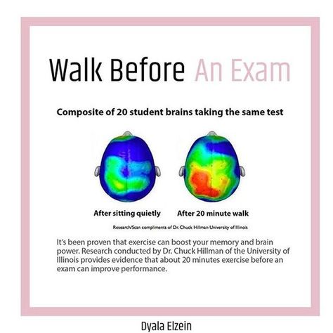 #study tip, walking before an exam help, brain scan after walking before an exam After Exam, Before An Exam, The State, Exam Tips, Exam Day, Brain Scan, Exams Tips, Brain Power, Best Workout