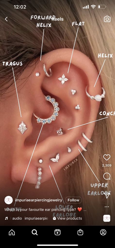 Earrings Placement Chart, Piercings Ear Labeled, Labeled Ear Piercing Diagram, Earring Map On Ear, Ear Peirce Chart Pain, Different Ear Piercings Chart Names, Earring Placement Ideas Chart, Ear Anatomy Piercing, Piercing Chart Ear Labeled